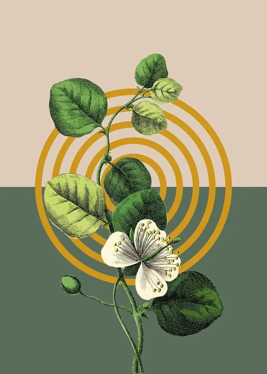 Boho Wall Art Print Canvas Painting Unframed