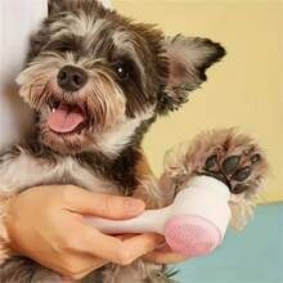 Pet Paw Brush

